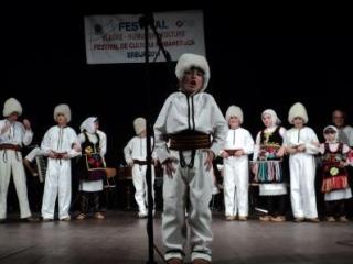 timoc,festivalului-de-cultura-romaneasca,serbia-2011,viorel-badea,bor,icr,directia-romani-din-afara-tarii,ariadnae-filum,