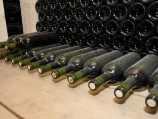 ion-preasca,vernisajul-vinului,taste-moldova,constantin-sarghi,