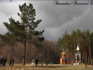 masacrul-de-la-fantana-alba,fantana-alba,bucovina-de-nord,victor-roncea,drp,arhimandritul-melchisedec-velnic,staretul-sfintei-manastiri-putna,