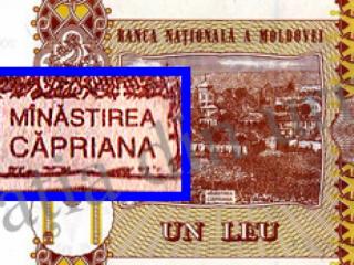 lei-md,greseli-de-scriere,max-ciudin,