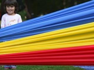 bucuresti,directia-romani-din-afara-tarii,institutul-cultural-roman,parcul-coltea,piata-universitatii,platforma-civica-actiunea-2012,ziua-limbii-romane,