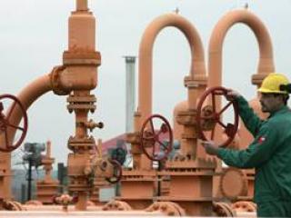 ue,problema-gazelor-naturale,