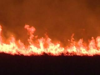 incident,rezervatia-delta-dunarii,grigore-baboianu,arie-protejata,foc,