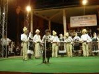 zilele-culturii-romane-serbia-2011,dragana-jivcovici-obradovici,miroslav-gruici,