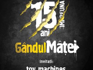 festivalul-bucovina,gandul-matei,gib-cluj,