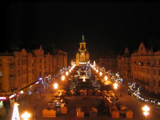 organizatia-studentilor-basarabeni-din-timisoara,