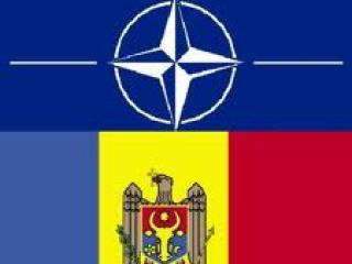 rm-nato,vitalie-grosu,jurnal,