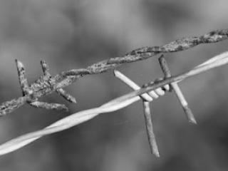 serviciul-de-securitate-al-ucrainei,maramures,tisa,dan-sergiu,transcarpatia,